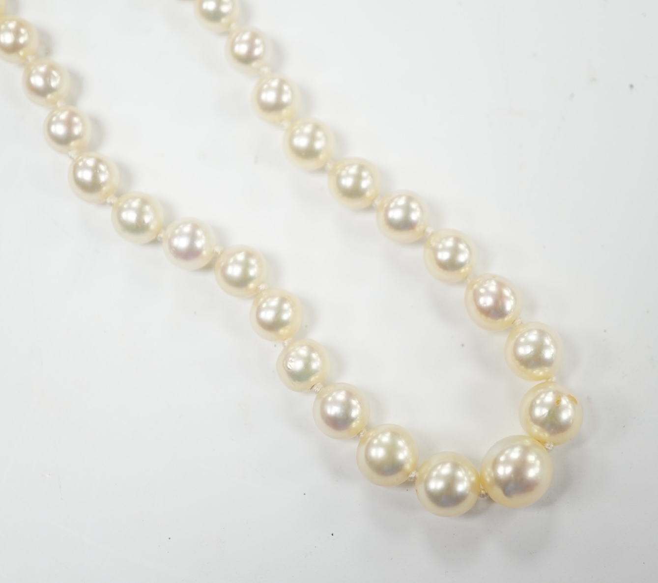 A single strand graduated cultured pearl necklace, with diamond set white metal clasp, 48cm. Good condition.